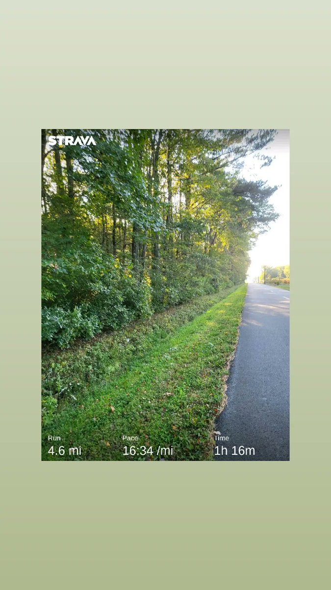 Dreadbull2's tweet photo. Mile 3 and someone gave me a thumbs up when they drove by. Needed that. 
#running #run #strava #October https://t.co/aDSAMXXTr4