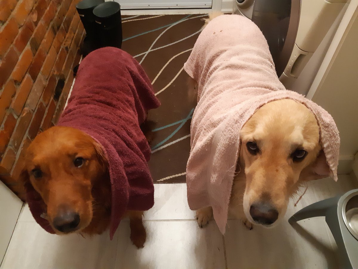 Dean Maahs tweet media