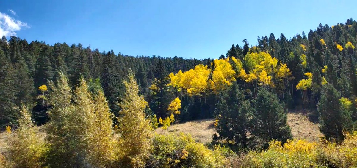 Monica Hurd tweet media