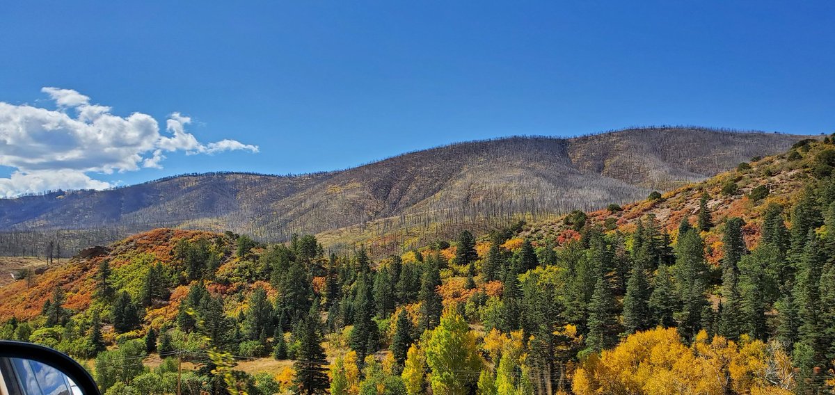 Monica Hurd tweet media