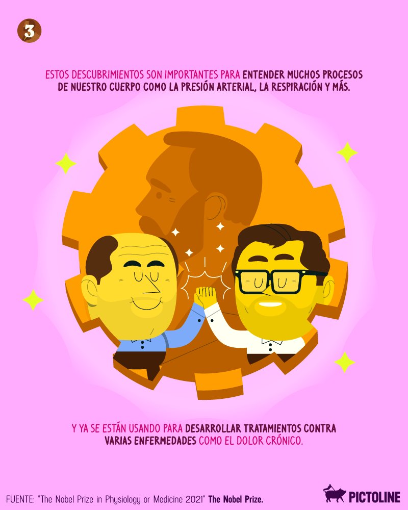 pictoline's tweet photo. El Premio Nobel 2021 explicado en 3 puntos 🥇
Hoy: Medicina 🔥❄️💪 https://t.co/0GIaC9sMp9