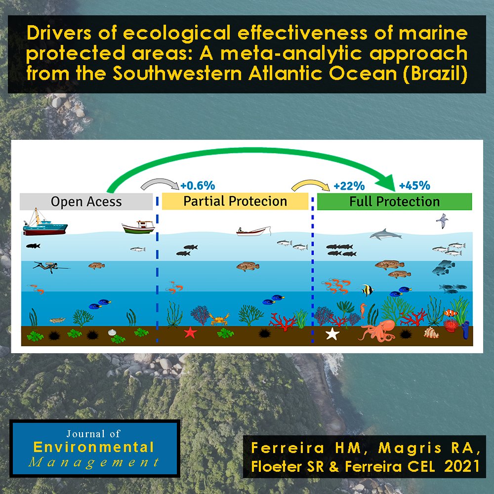lbmm_ufsc's tweet photo. Paper published in Journal of Environmental Management! Ferreira H.M., Magris R.A., Floeter S.R. &amp; Ferreira C.E.L (2021) Drivers of ecological effectiveness of marine protected areas: A meta-analytic approach from the Southwestern Atlantic Ocean (Brazil) https://t.co/ehL3qB1hqn https://t.co/Bxwih27n2Q