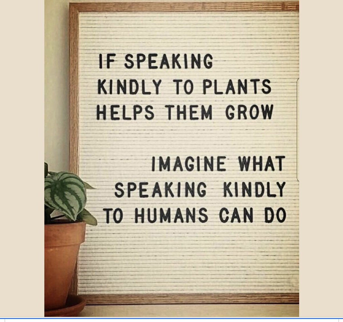 #ChooseKindness #SEL #compassion