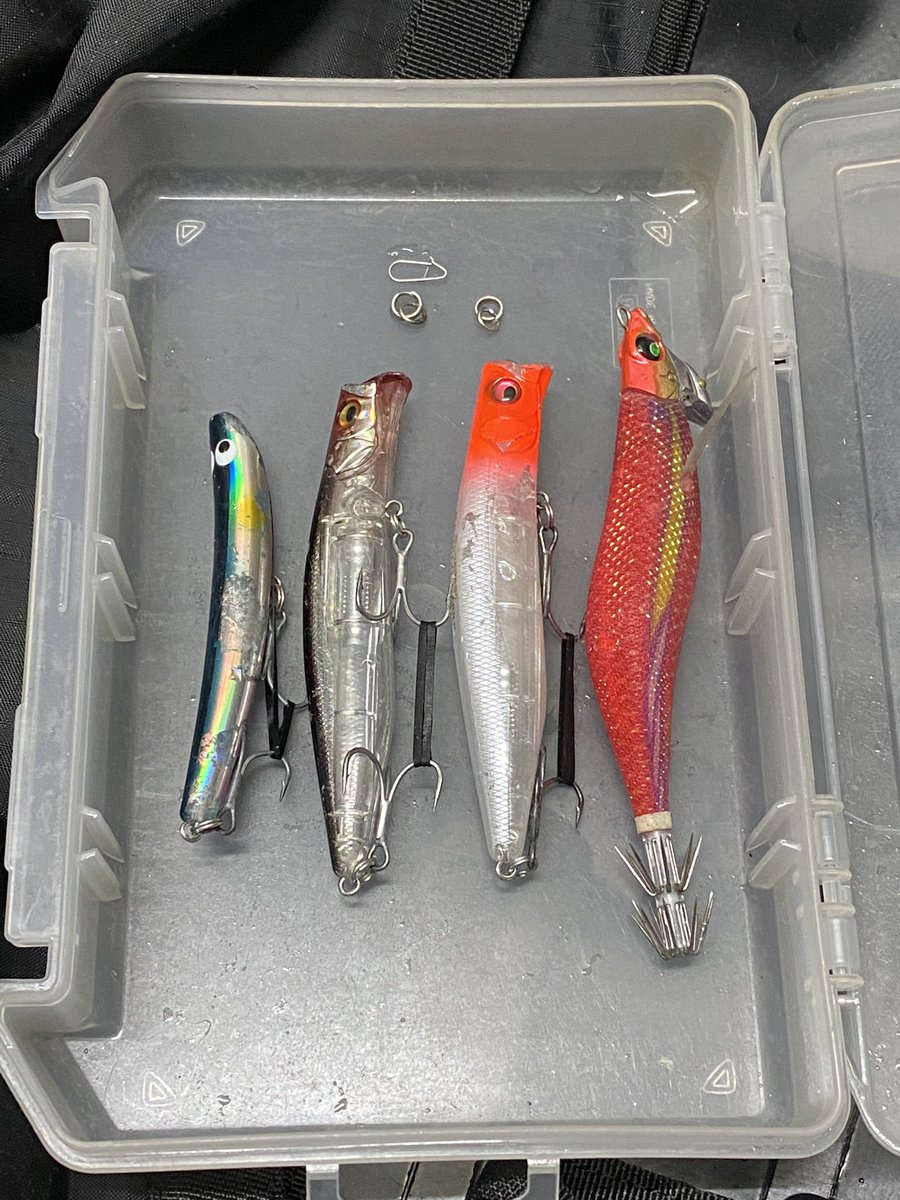 伊豆のルアーフィッシング Fishing Izu Twitter 伊豆のルアーフィッシング Fishing Izu Twitter