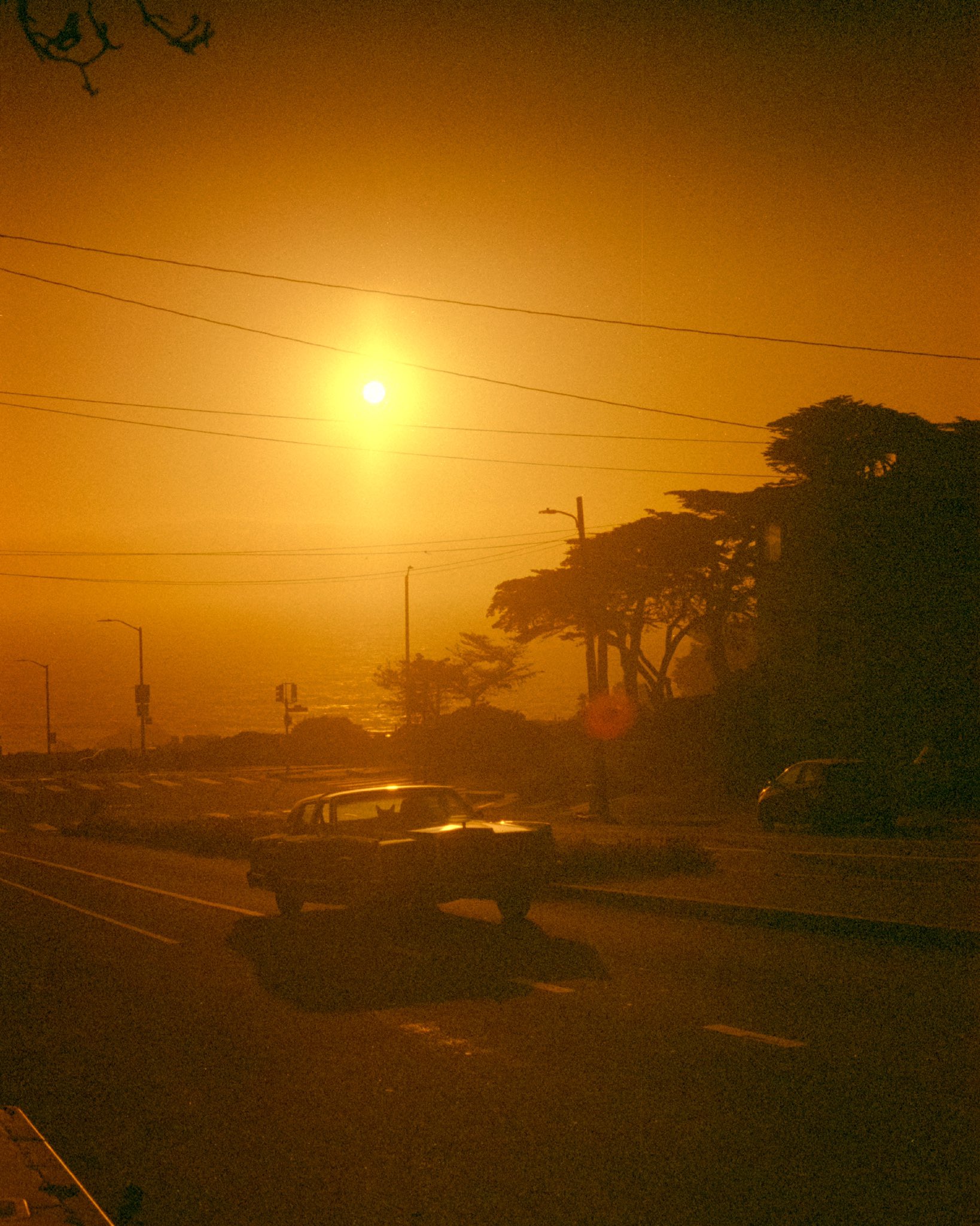 nick rufo on Twitter: 