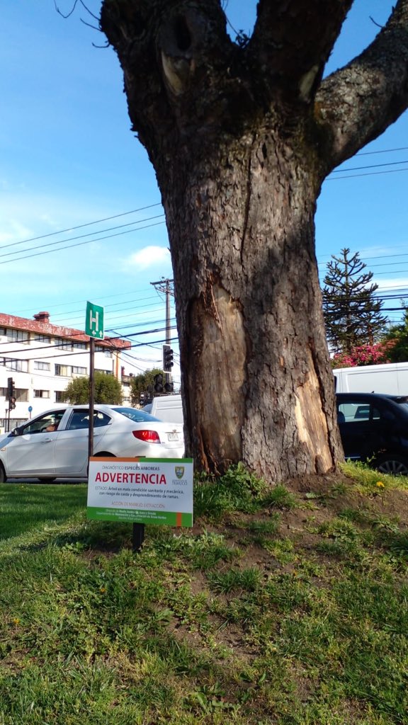 Col Ing. Forestales tweet media