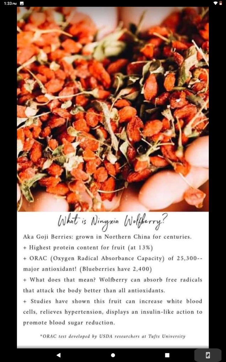 Mom23kid's tweet photo. What is Ningxia and why is it so good for you?!?! 

Here is a little break down 👇

#ningxia #ningxiared #wolfberry #delicious #goodforyou #healthy #healthylifestyle #youngliving #morethanoils https://t.co/Xywli0VE6x