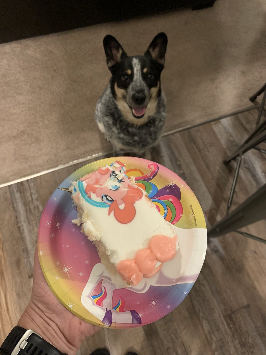 mofkntep's tweet photo. Harve’s best friend Scarlett (the little girl across the street), brought him a piece of cake for her 4th birthday tonight.
He repaid her by trying to snatch her babydoll away 🤣🙄 #suchadick https://t.co/sL17p5XT8b