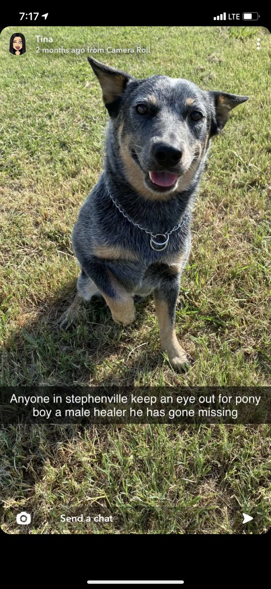 Last seen along 377/South Loop. Please contact me or @christina_nlee if you have any information
