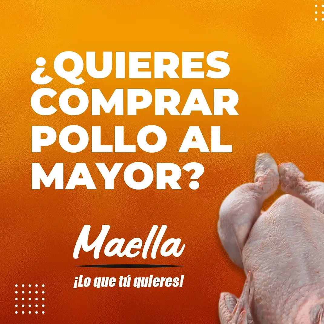 vinostravel's tweet photo. @pollosmaella 
¿No sabes donde adquirir pollo al mayor? 🍗
Ya sea al detal o al mayor, MAELLA te brinda diferentes opciones para que sepas cómo saben nuestros divinos y frescos pollos
@pitapollos 
@ohquecarne
@carniceriathegoldenchicken
@goldenmeats_
😍🍗
#PollosMaella #Maella https://t.co/TfNwD7Nu4g