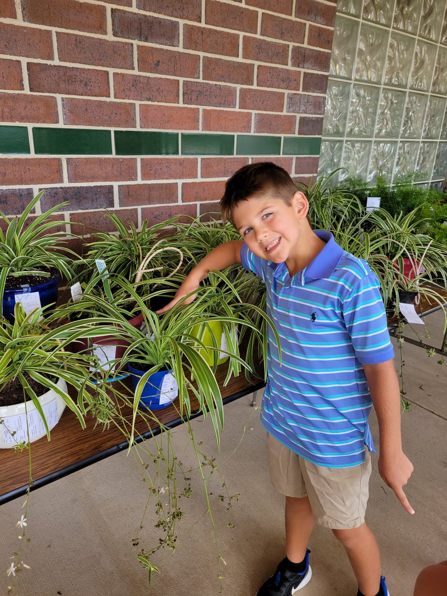 DRESMrsJRedner's tweet photo. Our first grade friends showing their effort and perseverance at our plant show!  🪴 https://t.co/A5TRpBtghO
