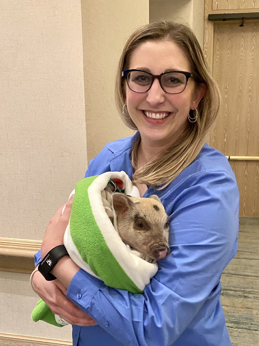 msgatoradr's tweet image. A mighty team of 25 SpartanNash Associates planned the incredible SpartanNash Summit &amp;amp; Circle of Excellence events. They sweated every detail to create a memorable experience that left everyone feeling inspired, appreciated &amp;amp; ready to lead  into the future. #SpartanNashSummit