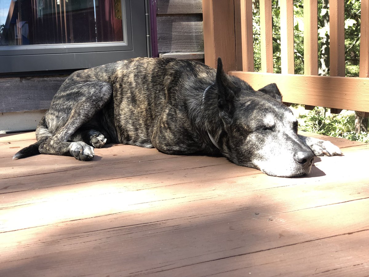 CrossFit DC tweet media