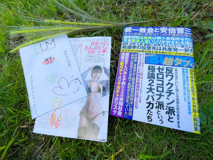 Liste Des Tweets真中つぐ 30池ハロ A Donne Le Hash Tag 実話bunka超タブー 1 Whotwi Analyse Graphique Twitter
