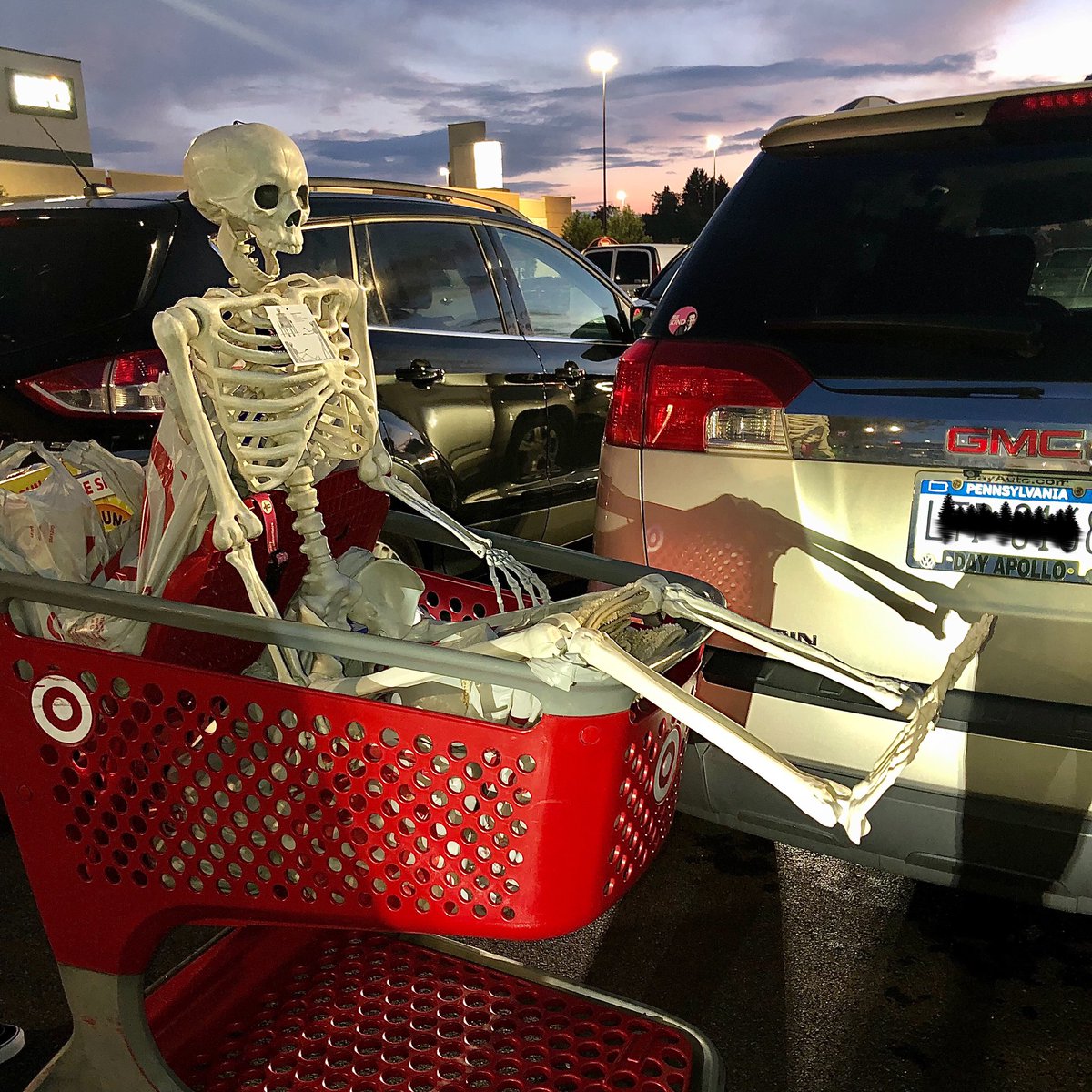 Hey <a href="/Target/">Target</a> 👀 💀 😍 🖤 #ty #spookyseason #target #Skeleton