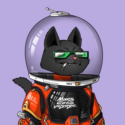 NAASTA4's tweet photo. #NewProfilePic #wenmars @marscatsvoyage https://t.co/NNyEol9RFL