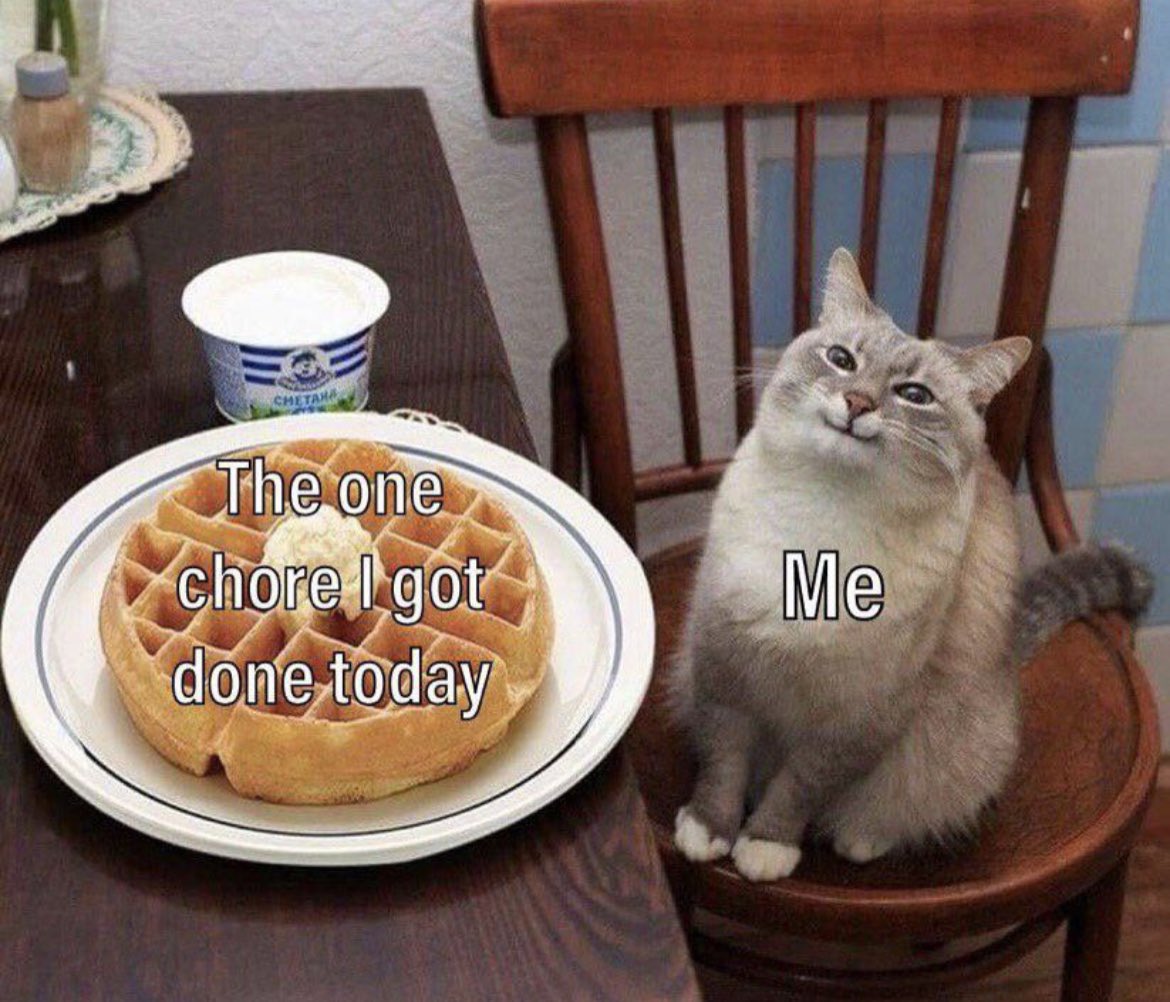 Emanuel Rabina tweet media