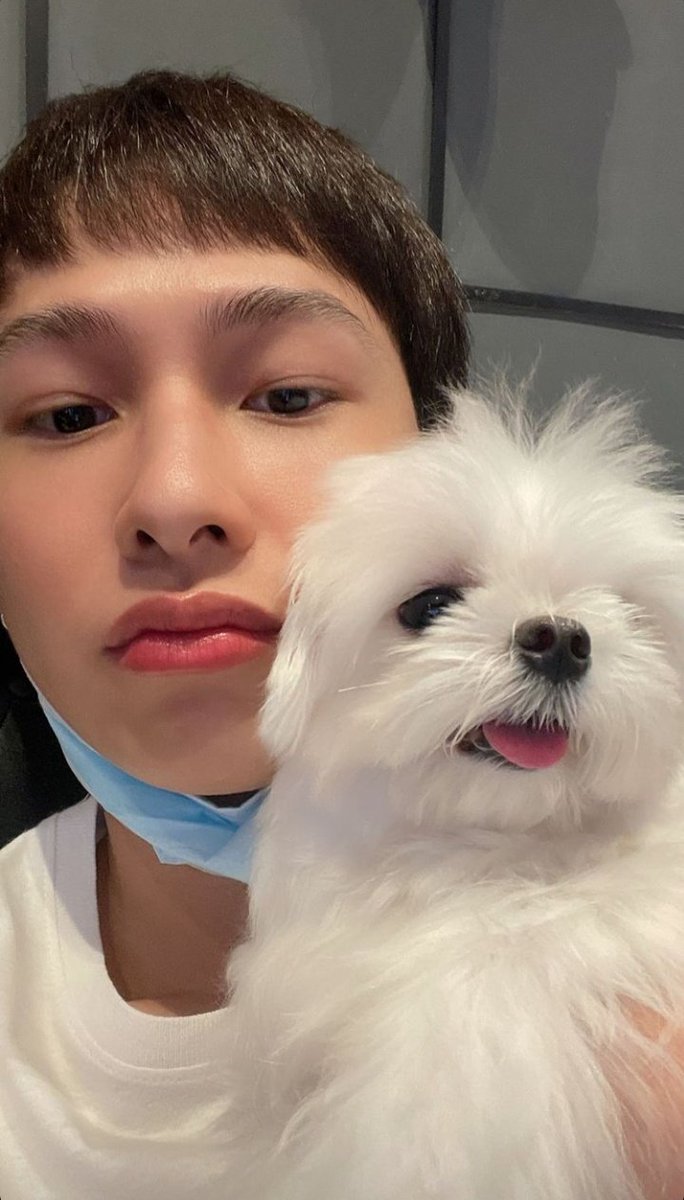 Alisyam111's tweet photo. #ATp28thLoveInfinity
Hasta apenas ahorita tuve chance de poder felicitar a este niño tan bello🥺💚 así que Happy Bhirtday P'Gun💚🎊

Sigues siendo en número uno y será siempre el número uno para mí🌻💚 https://t.co/nNWXTLc6FJ