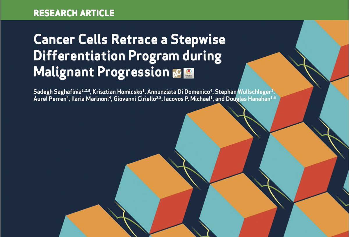 IacovosMichael's tweet photo. The final version of our recent study showing that #dedifferentiation during tumorigenesis retraces a developmental pathway is now published in the October issue of @CD_AACR
#CancerPlasticity #miRNAs #PanNETs
https://t.co/O5snj2sfm5 https://t.co/8zQjcf9l6y