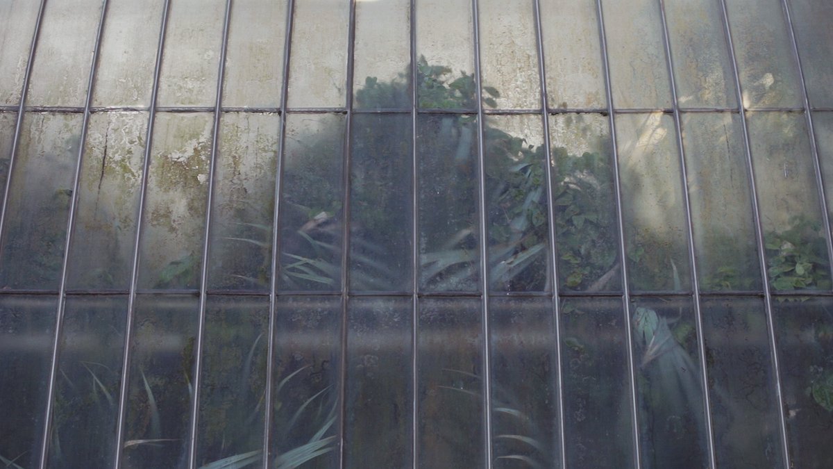 Samstag Museum of Art tweet media