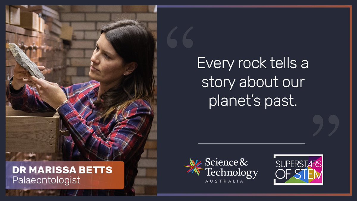 Evelyn Fetterplace tweet media