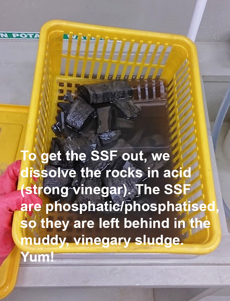 Marissa J Betts tweet media