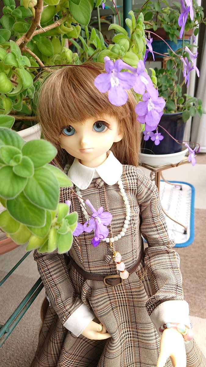 みんなの 白い花 テイクアウト 口コミ 評判 食べたいランチ 夜ごはんがきっと見つかる ナウティスイーツ