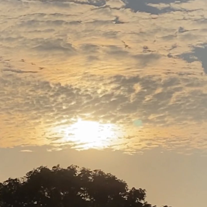 walkin_stranger's tweet photo. Mornings are always beautiful. They promise a beautiful day!
I try to capture beautiful moments when starting my day. Really helps me hustle thru the day.
#GoodMorning #BeautifulDay #Entrepreneur #TuesdayMotivation #LifeOfAComicDad #MicrophoneAbuser #WalkinStranger https://t.co/zPIYeg8qWz