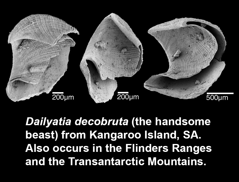 Marissa J Betts tweet media