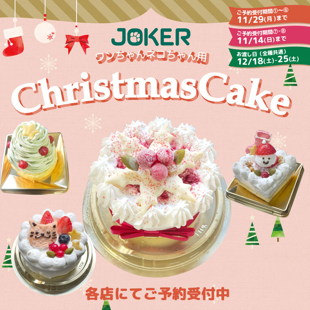 Twitter এ ペットショップジョーカー ペット用おせちとクリスマスケーキのご予約を店頭で受付中です おせち T Co Ry0rhflr2a ケーキ T Co 5zxasnhgot T Co Xvliv9urfp ট ইট র
