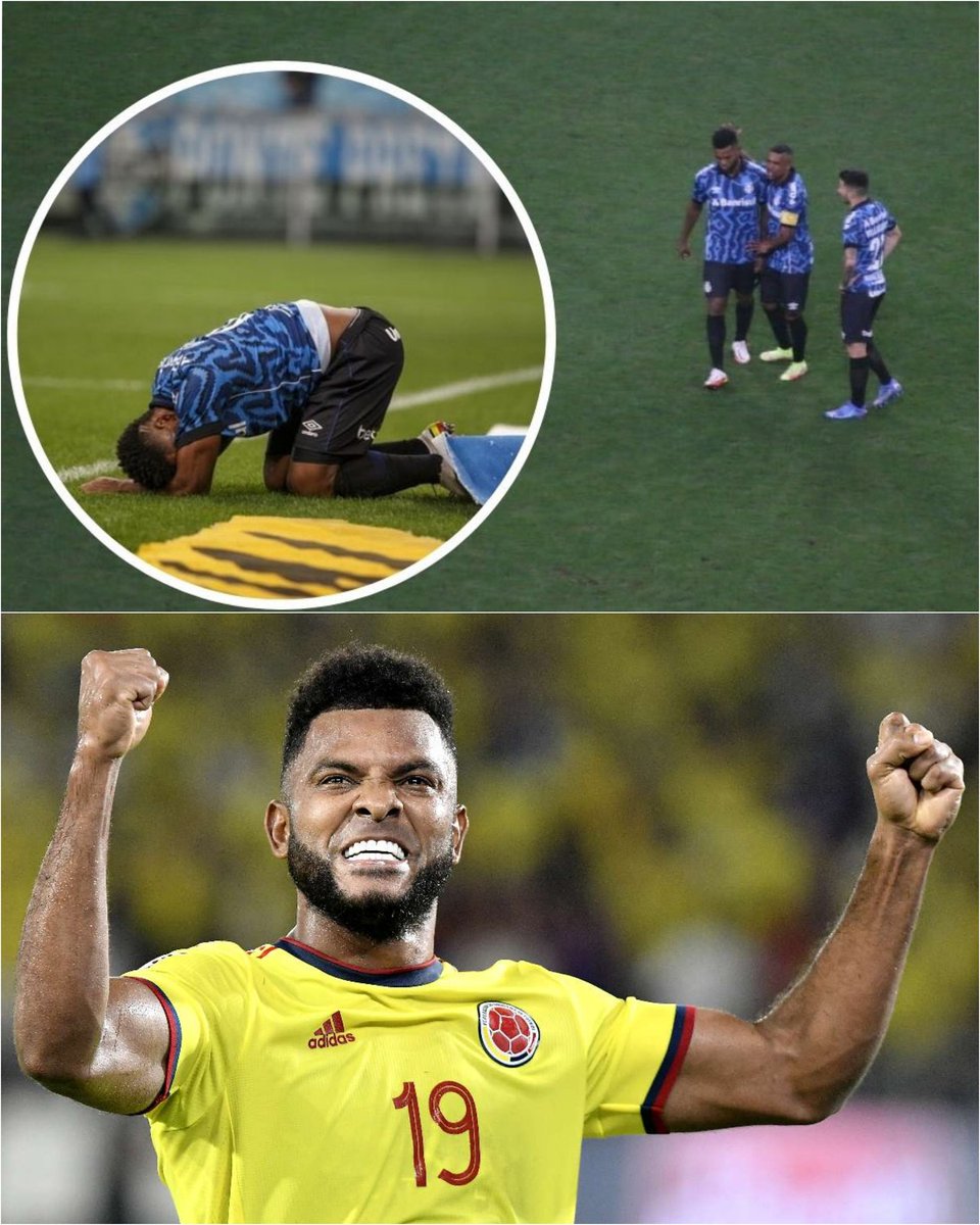 Camilo Castellanos tweet media