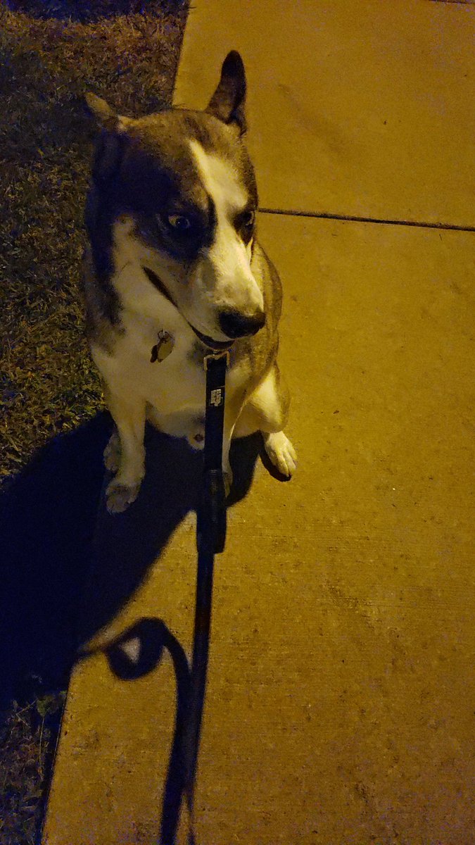 I started my day with a walk with my friend Tom in the dark. Now we're ending it the same way. Both times had clear skies and a bunch of stars. Long day, but great bookends. Talk about lucky.