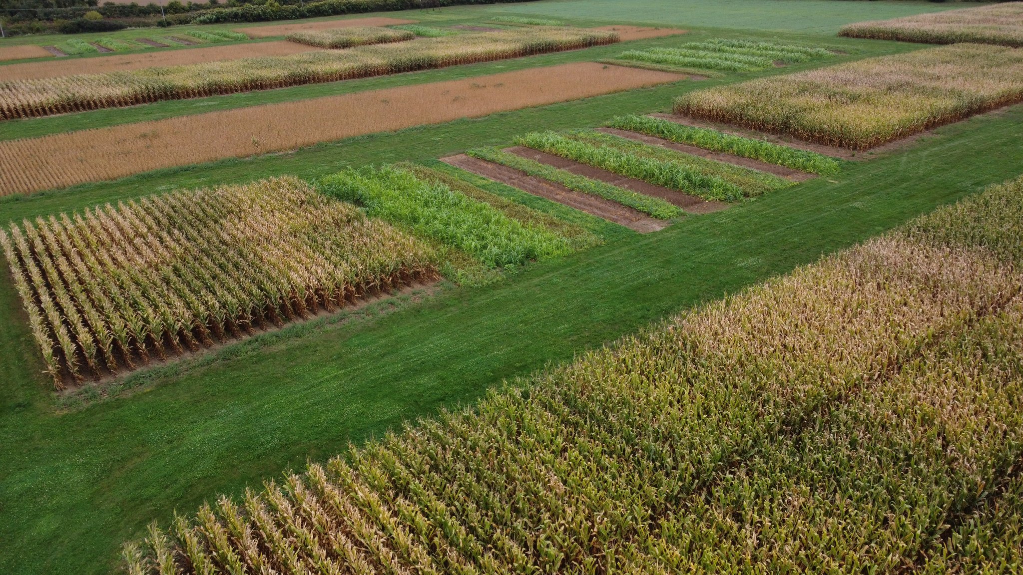 Dave Hooker on Twitter: 