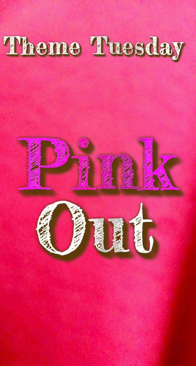 Blazer Nation tweet media