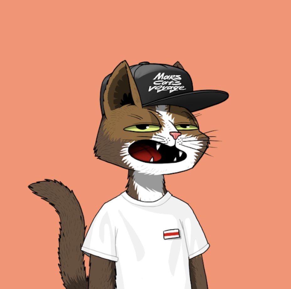 CatManOnMars's tweet photo. @ReoCragun Join in on the fun @marscatsvoyage ! Great community with amazing art and one hell of a creative voyage. #wenmars 
"One small step for Cats, one giant leap for MarsCats" https://t.co/NKP1GJfZSf