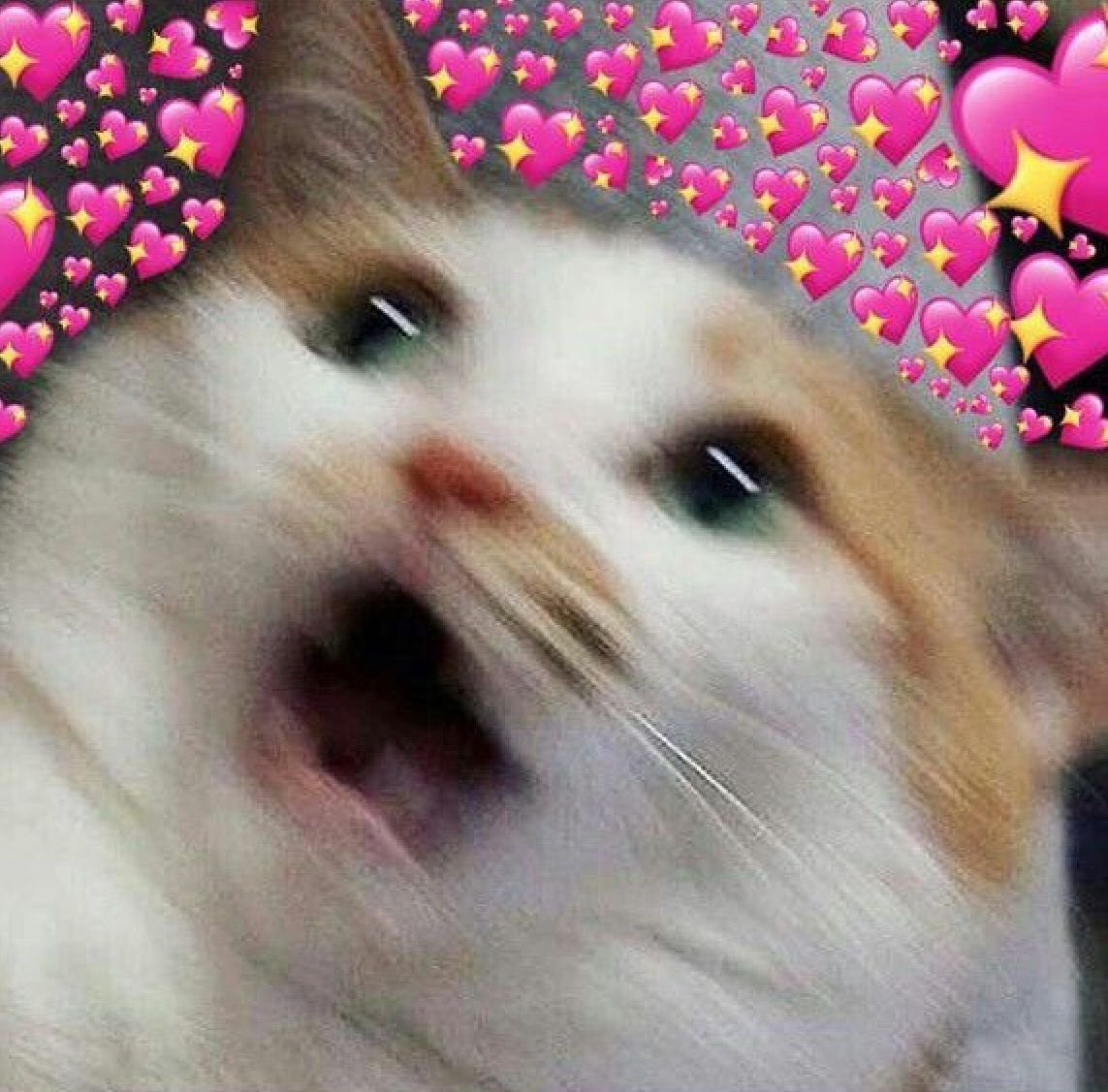 lcvingrace's tweet photo. @opulentoddity THANK U SM and same for u!!! thanks for being a very swag moot, take care 🤍🤍 + keep up the very hot art https://t.co/zpUk0660qd