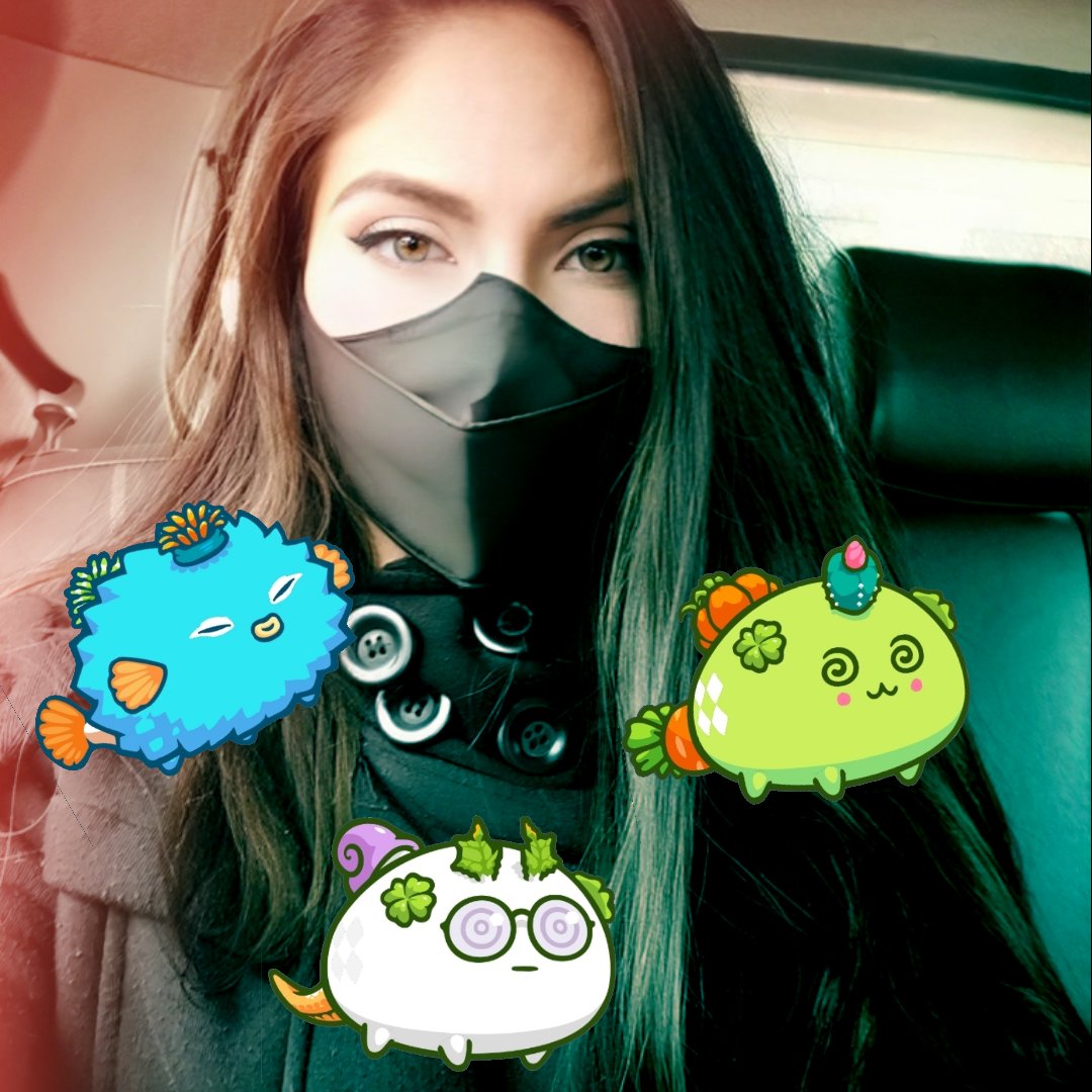 #NuevaFotoDePerfil #AxieInfinity #Axie #misaxieInfinity ✨✨✨✌️😁