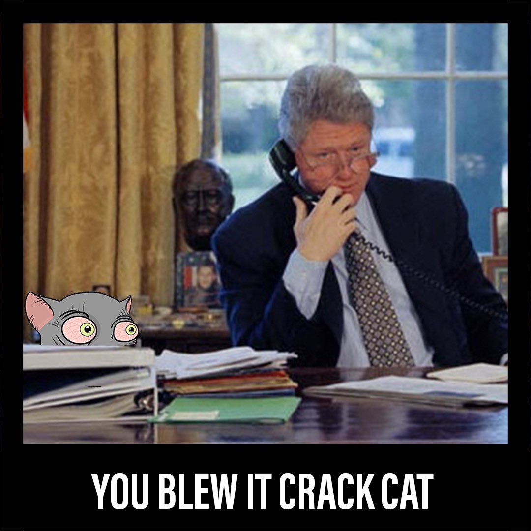 BullFath3r's tweet image. You blew it Crack Cat…
@Ape6056 #CrackCat #CrackCatCreeps