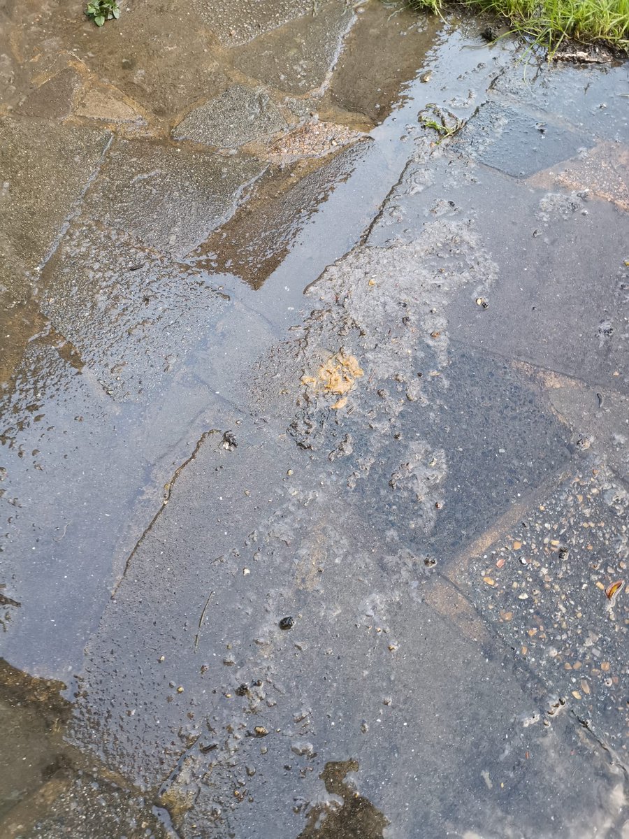 matt_elgey's tweet photo. @thameswater @wfcouncil @stellacreasy @WalthamstowLife third flood in a week and faeces coming out of the drains. Does anyone want to take responsibility and sort the drains out in Walthamstow? https://t.co/2kl6sBBkjH