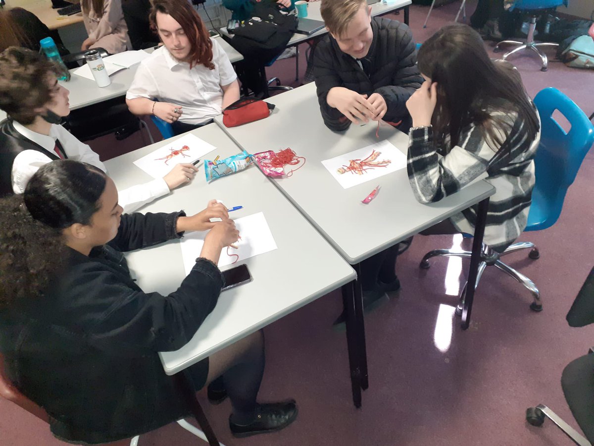 ACS_SixthForm's tweet photo. Year 12 Psychology students engaged with their learning by creating the nervous system with sweets! @ACSteaching #learning #edutwitter https://t.co/FqLGS3Co6p