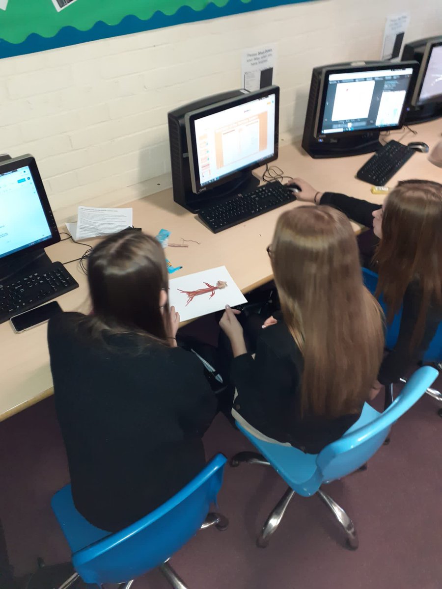 ACS_SixthForm's tweet photo. Year 12 Psychology students engaged with their learning by creating the nervous system with sweets! @ACSteaching #learning #edutwitter https://t.co/FqLGS3Co6p
