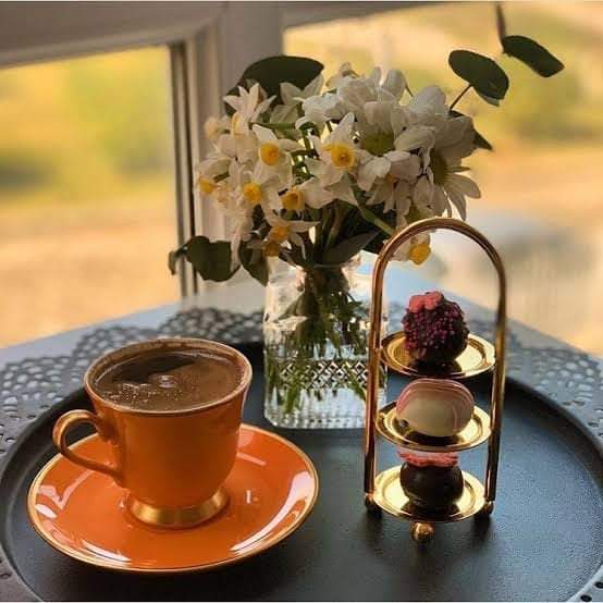 SevdaAs39628561's tweet photo. @dilekevcimen191 Günaydın  canim https://t.co/jKw9zw8gaQ