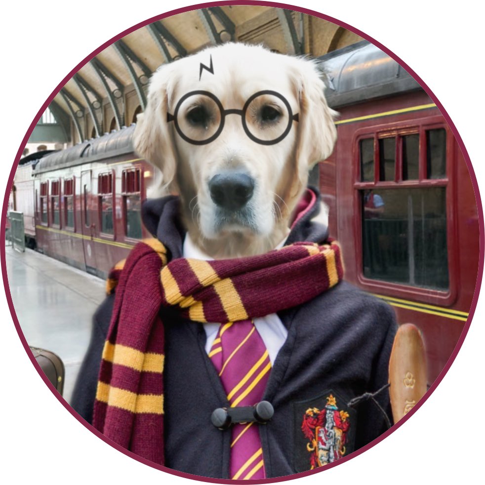 #NewProfilePic I's recycled my outfit for #zshq #zsparade #halloween2021 #dogsoftwitter #dogs #GoldenRetrievers