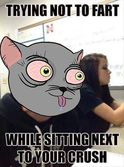 BullFath3r's tweet image. True story
@Ape6056 and the #CrackCat
#CrackCatCreeps