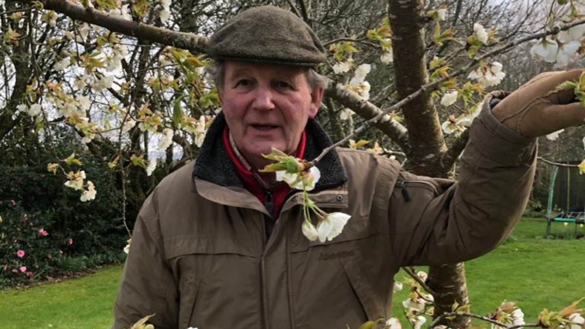 Today we are wishing a huge happy birthday to our wonderful President, Sir Michael Morpurgo! 

Thank you so much for all of the stories, Sir Michael - and for your amazing work to get children reading ❤️ 🎈