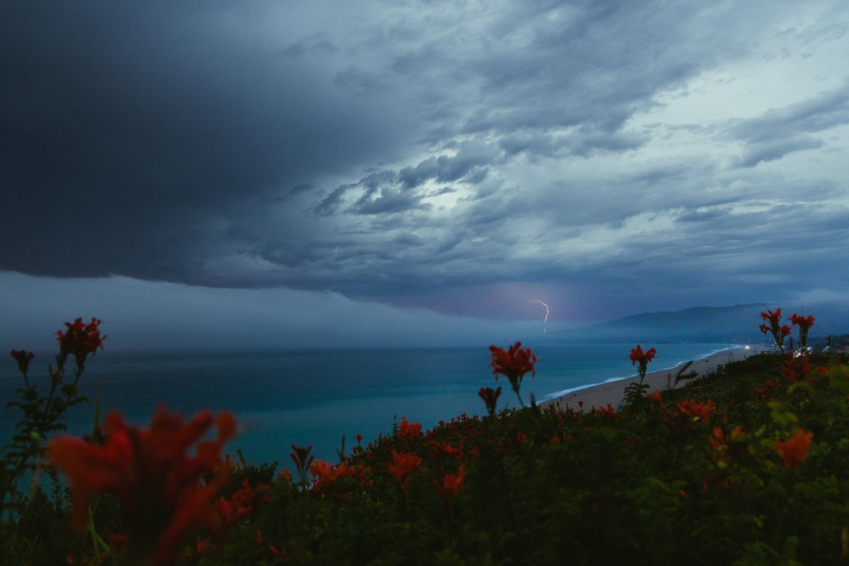 nhowe's tweet photo. ⚡️Malibu⚡️ https://t.co/6mRGOAPv7m