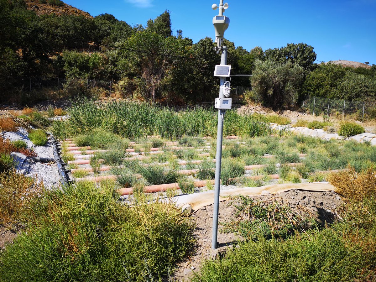 IRIDRA_firenze's tweet photo. ๐ง๐ฑNew photos from the Lesvos pilot site of the
@HydrousaProject โผ๏ธ
1st stage saturated and 2nd stage unsaturated VF #ConstructedWetlands, MET - #MicrobialElectrochemicalTechnologies filters, and #biofilters to eliminate odors
More photos & info๐
https://t.co/482Ww2wteu https://t.co/gmTjivATKJ