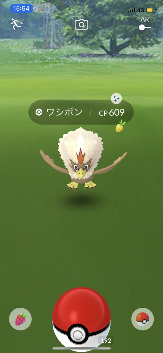 色違いワシボン Twitter Search