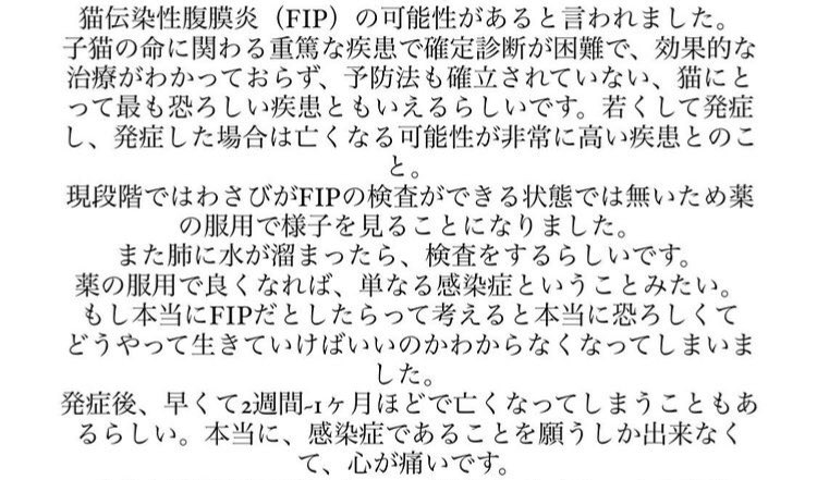 MEOWLOVEit1's tweet photo. なんとかならないのか、、、 https://t.co/Uc4Rw3Uunl