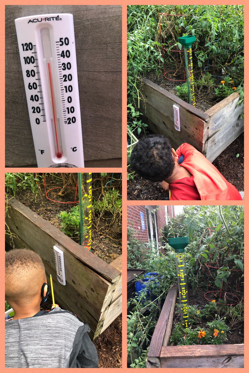 cbyrdteaches17's tweet photo. Students making observations and designing data tables with the new weather station elements in the WB garden! Patterns lead to forecasts. @WBESBulldogs @WBE_Library #GATE #wbgrowsneeveryday https://t.co/mNAVWiHJYu